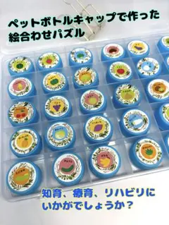 ペットボトルキャップ 絵合わせパズル　知育リハビリ玩具