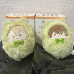 魔法使いの約束 まほやく くるみたぴぬい ルチル ミチル