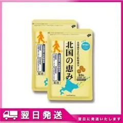 北国の恵み 93粒 2袋セット