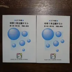 馬渕教室中学１年公開テスト2017年度
