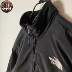 【レア 大人気古着 ノースフェイス デナリジャケット 大きいサイズ ポーラテック