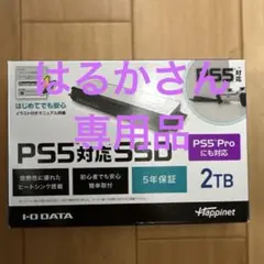 【はるかさん専用】M.2 拡張SSD  2TB 2個