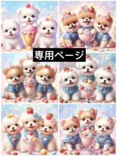 専用ページ　追加
