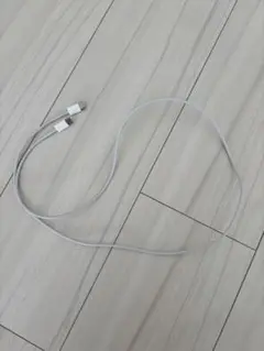 Apple 純正 iPhone 充電コード USB-C