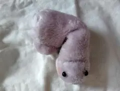 ちんのぬいぐるみ 16 (青パープル)