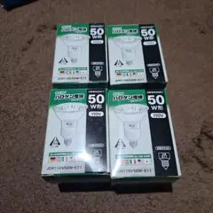 Lauda ハロゲン電球 50W E11 110V