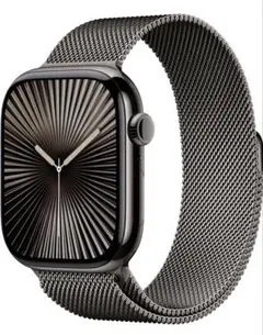 【純正】Apple Watch メッシュバンド ミネラーゼループ