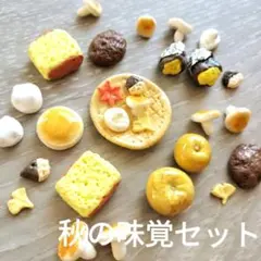 樹脂粘土　秋の味覚ミニチュアセットＡ　限定2