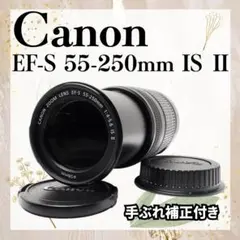 Item thumbnail for item 03699861-fc1e-484d-9f82-c96b2947fa21