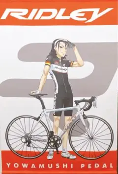 リドレー RIDLEY タペストリー 弱虫ペダル 東堂 非売品