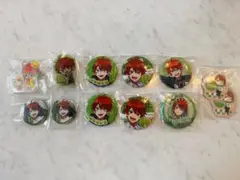 カラフルピーチ　じゃぱぱピンバッジ12個セット
