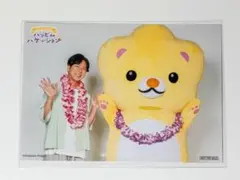 ハレヨンくん 神谷浩史 購入特典 ブロマイド