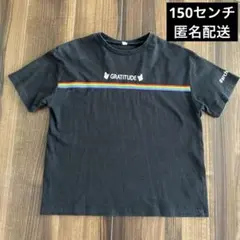 GRATITUDE レインボー ストライプ Tシャツ