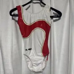 クリスチャンモロー レオタード