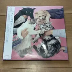 2025年最新】きのこ帝国 猫とアレルギーの人気アイテム - メルカリ