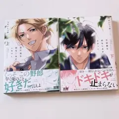商業 bl 2冊 まとめ売り