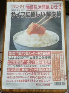 日刊ゲンダイ　臨時特別号
