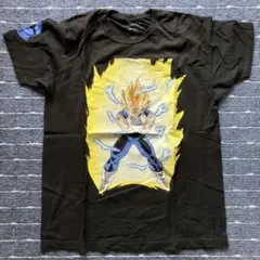 00s ドラゴンボールZ ベジータ 黒 カプセルコーポレーション アニメ