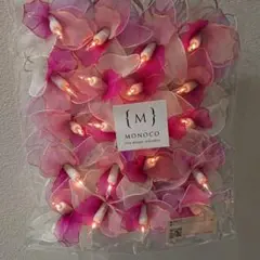 フラワーライト 蘭の花
