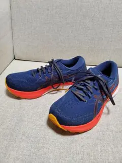 asics GEL-KAYANO 29 (26.0cm)