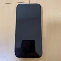 Apple iPhone 15 Pro ナチュラルチタニウム本体