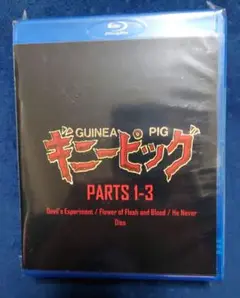 4000円引セール【レア】ギニーピッグピーターの悪魔の女医さん&メーキングDVD 8000円引セール【レア】ギニーピッグピーターの悪魔の女医さん