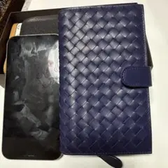 Item thumbnail for item 44c5322e-7759-4d8f-96ba-0a2a5121fdf3