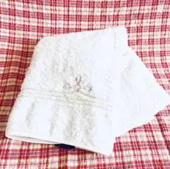 Item thumbnail for item ae5e6780-f937-420e-9841-6ae1510955aa