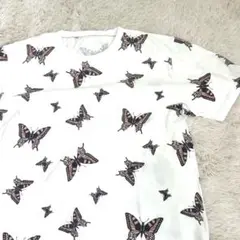 INSECT COLLECTION ちょうちょ半袖Tシャツ XLオーガニック