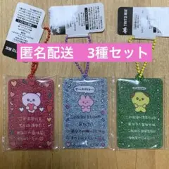 チェゴシム　ラメ入りアクリルキーホルダー　3種セット　シルバー