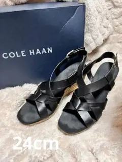 Item thumbnail for item 4454b4e9-e6c2-4146-b9b5-af4ddc99c0b2