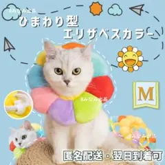 【虹色M】ソフト エリザベスカラー 術後服犬猫 雄雌 舐め防止 避妊 去勢 手術