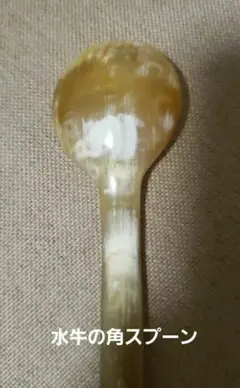 Item thumbnail for item 1e9d593c-d667-4831-8bd0-5388d5cd9958