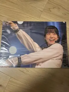 櫻坂46 クリアファイル 石森璃花 新参者