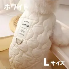 Item thumbnail for item e96b9b9a-8f67-483f-a19e-017b953388da