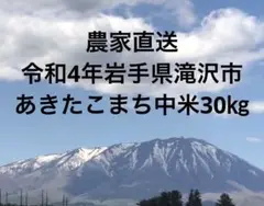 生産者直送 令和4年岩手県滝沢市産 あきたこまち中米30㎏