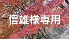 スワロフスキー ネックレス