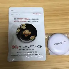 ターミナリアファースト プロフェッショナル タブレット タイプ
