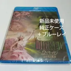 Item thumbnail for item 9e3ec340-b3c9-477c-89c0-d928bfdf446c