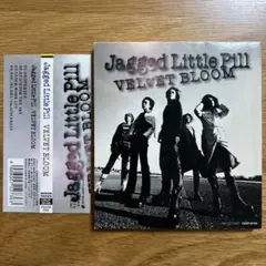 [帯付き] Jagged Little Pill/VELVET BLOOM
