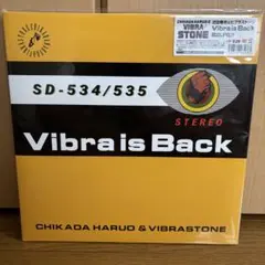 2025年最新】VIBRASTONEの人気アイテム - メルカリ