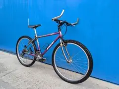 2025年最新】NISHIKI MTBの人気アイテム - メルカリ
