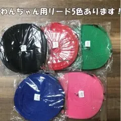【安心のメルカリ便】ロングリード 20M 定価2,000円 ブルー 送料無料!