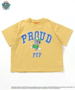 パウ・パトロール バリエーションTシャツ　ロッキー BREEZE ブリーズ