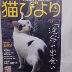 猫びより　2013年9月号