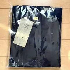 Item thumbnail for item a1d3c594-b0b4-44ef-9e1c-fd1c14864181