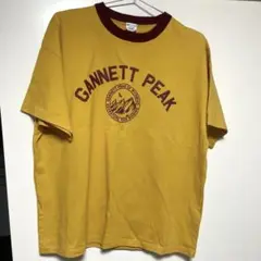 【Champion】復刻トリコタグGANNETT PEAK Tシャツ