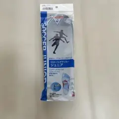 ＤＳＩＳソルボサッカー Ｊ2Ｌ