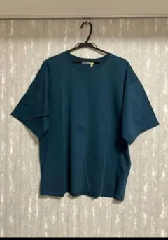 ジャーナルスタンダード Tシャツ Lサイズ