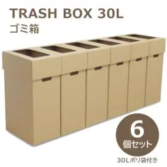 ゴミ箱 分別 ６個セット 30リットル ポリ袋付き ダンボール製